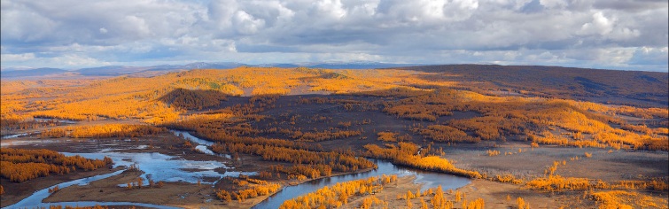 Баннер 2